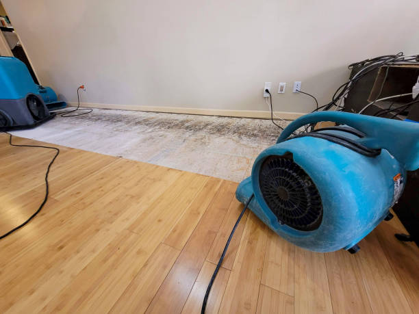 Professional Structural Drying technician working in Lakemont, GA